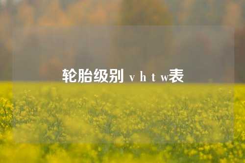 轮胎级别 v h t w表