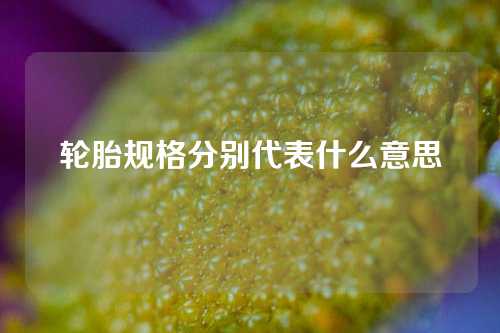 轮胎规格分别代表什么意思