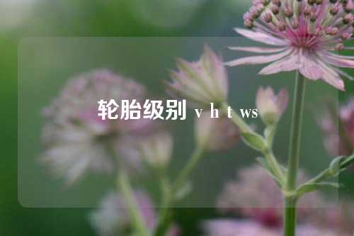 轮胎级别 v h t ws