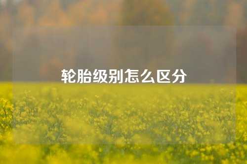 轮胎级别怎么区分