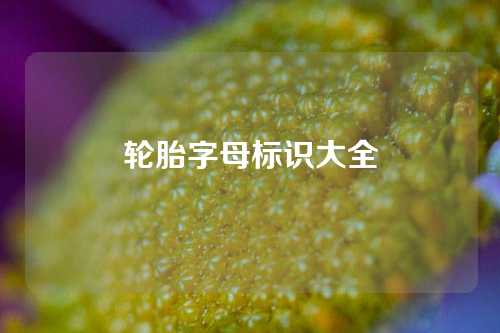 轮胎字母标识大全