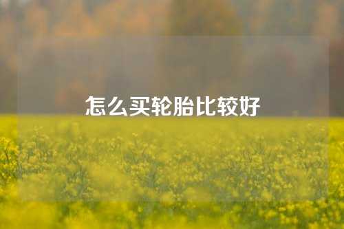 怎么买轮胎比较好