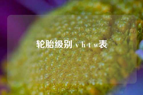 轮胎级别 v h t w表