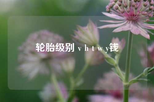 轮胎级别 v h t w y钱