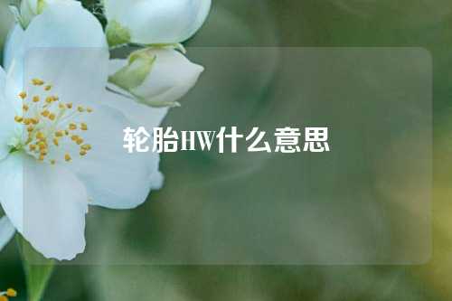 轮胎HW什么意思