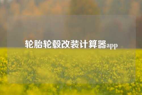 轮胎轮毂改装计算器app