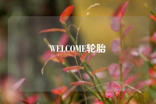 WELCOME轮胎