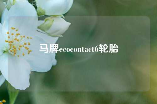 马牌ecocontact6轮胎