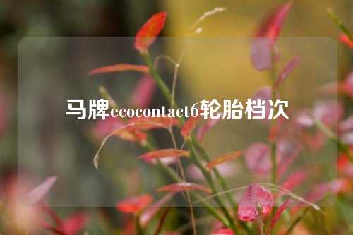 马牌ecocontact6轮胎档次