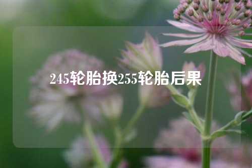 245轮胎换255轮胎后果