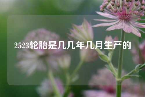 2523轮胎是几几年几月生产的