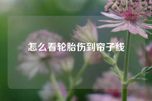 怎么看轮胎伤到帘子线