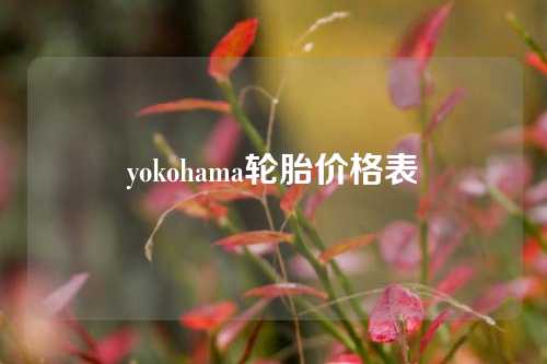 yokohama轮胎价格表