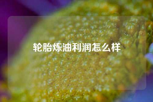 轮胎炼油利润怎么样