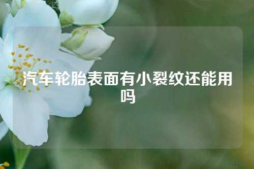 汽车轮胎表面有小裂纹还能用吗