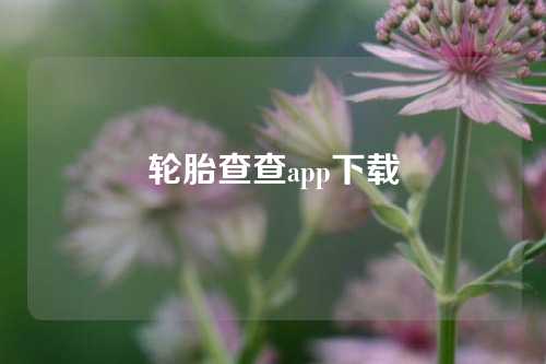 轮胎查查app下载