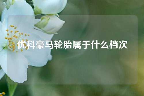 优科豪马轮胎属于什么档次