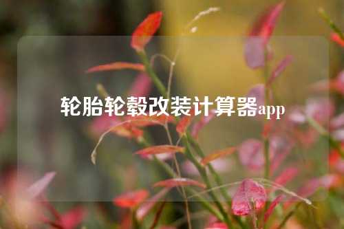 轮胎轮毂改装计算器app