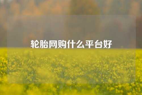 轮胎网购什么平台好