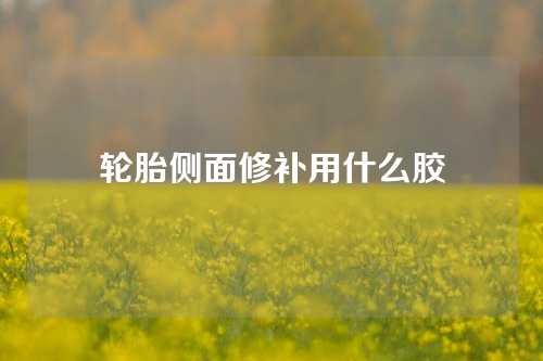 轮胎侧面修补用什么胶