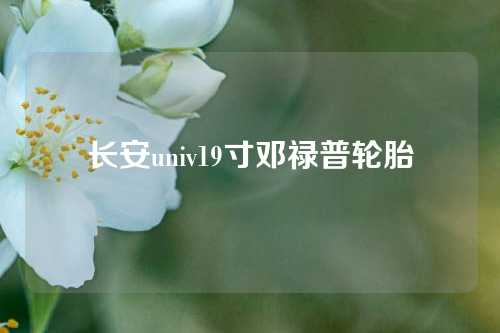 长安univ19寸邓禄普轮胎