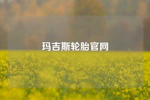 玛吉斯轮胎官网