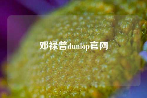 邓禄普dunlop官网