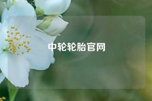 中轮轮胎官网