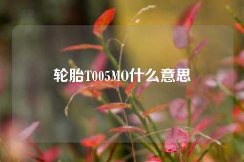 轮胎T005MO什么意思