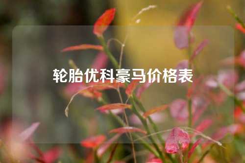 轮胎优科豪马价格表