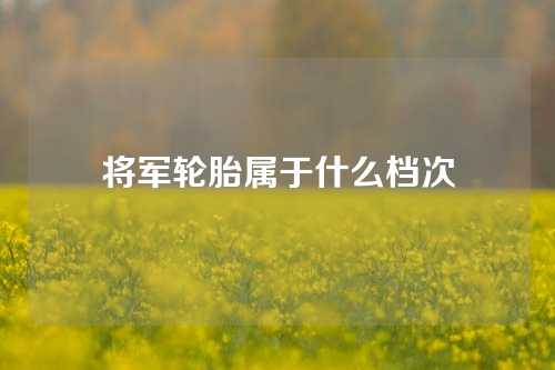 将军轮胎属于什么档次