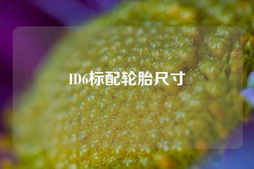 ID6标配轮胎尺寸