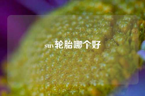 suv轮胎哪个好