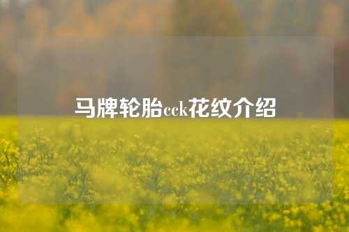 马牌轮胎cck花纹介绍