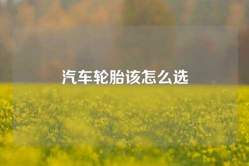 汽车轮胎该怎么选