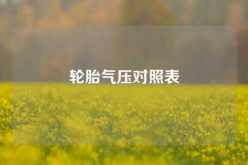 轮胎气压对照表