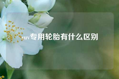 suv专用轮胎有什么区别