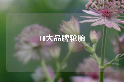 10大品牌轮胎