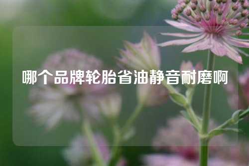 哪个品牌轮胎省油静音耐磨啊