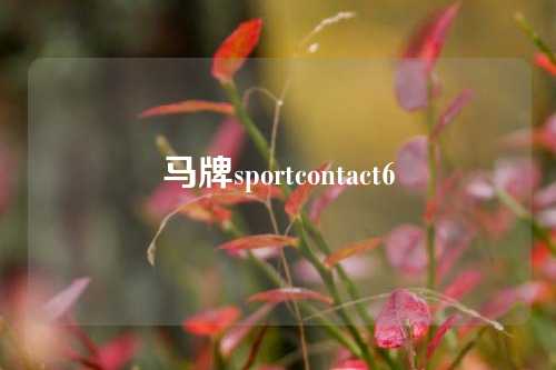 马牌sportcontact6