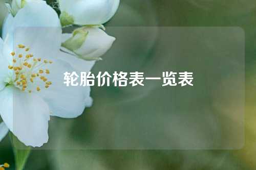 轮胎价格表一览表