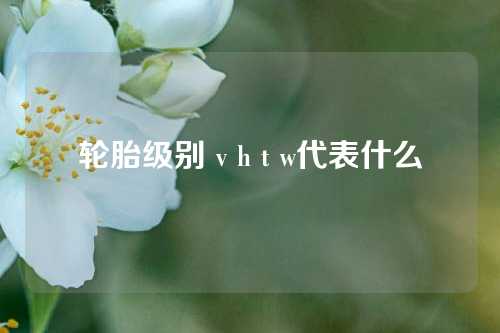 轮胎级别 v h t w代表什么