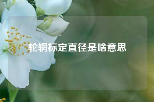 轮辋标定直径是啥意思