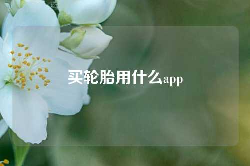 买轮胎用什么app