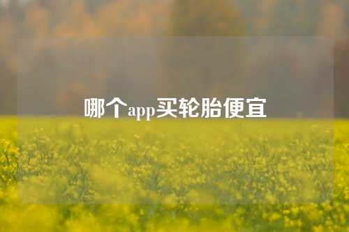 哪个app买轮胎便宜