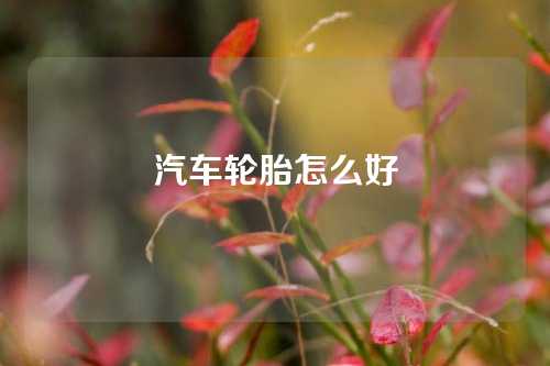 汽车轮胎怎么好