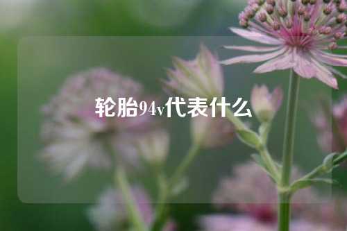 轮胎94v代表什么