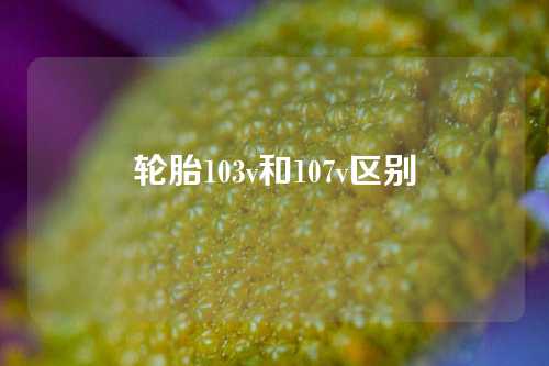 轮胎103v和107v区别