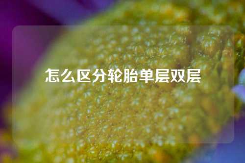 怎么区分轮胎单层双层