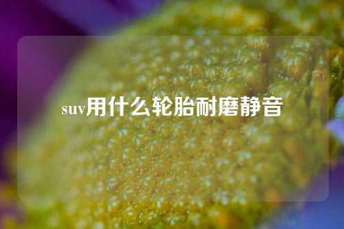 suv用什么轮胎耐磨静音